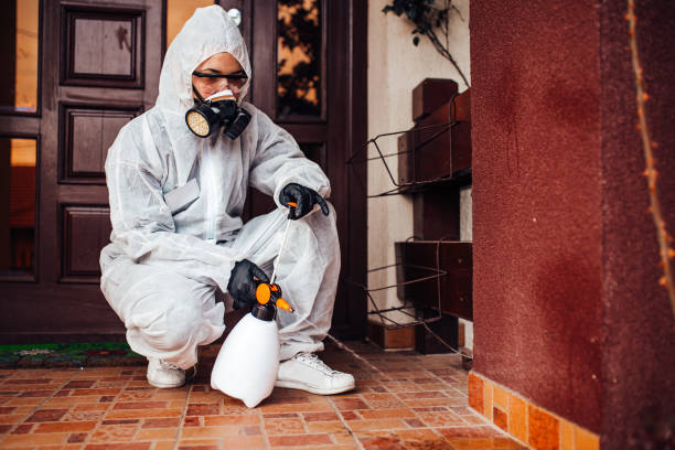 Reliable Cockroach Control contractor in Winfield, KS by Nex Pest Control